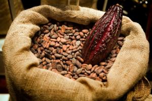 Exportaciones peruanas de cacao en grano crecieron en valor 32.47% en el primer bimestre de 2021