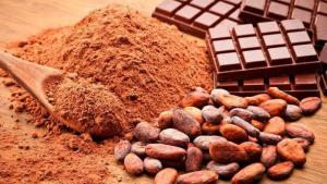 Exportaciones peruanas de cacao y derivados ascendieron a 6.993 toneladas en marzo de 2024, mostrando un aumento de 25%