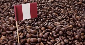Exportaciones peruanas de café alcanzan los US$ 869 millones entre enero y septiembre del 2022, mostrando un aumento de 145.7%