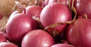 Exportaciones peruanas de cebolla cayeron 16%