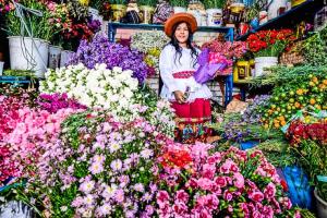 Exportaciones peruanas de flores sumaron US$ 9.6 millones en 2022