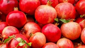 Exportaciones peruanas de granada sumaron US$ 117.4 millones en 2025, creció 37.7%