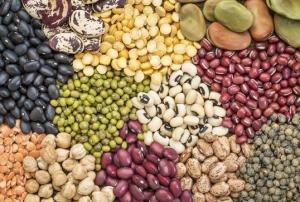 Exportaciones peruanas de legumbres alcanzarían los US$ 80 millones este año