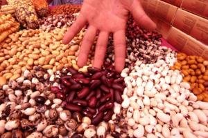 Exportaciones peruanas de legumbres sumaron poco más de US$ 135 millones en 2023, mostrando una reducción de -2.5%