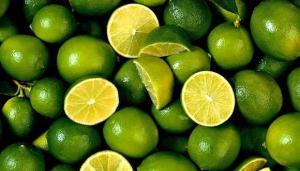 Exportaciones peruanas de limón fresco alcanzan las 21.885 toneladas en lo que va de la temporada