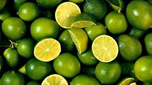 Exportaciones peruanas de limón fresco suman 21.537 toneladas en lo que va de 2023