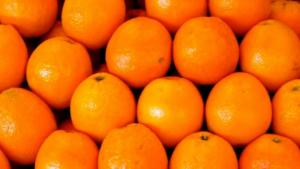 Exportaciones peruanas de naranja crecieron 173.6% en valor y 89.8% en volumen en 2023