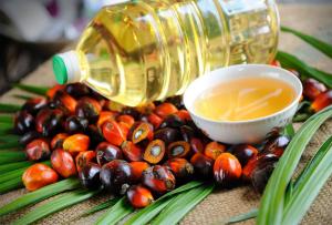 Exportaciones peruanas de palma aceitera crecen 46.86% en valor y 94.40% en volumen entre enero y noviembre del presente año