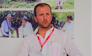 Exportaciones peruanas de palta crecerían alrededor del 15% el 2017