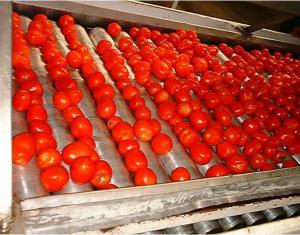 Exportaciones peruanas de pasta de tomate crecen notablemente y alcanzan los US$ 3.9 millones