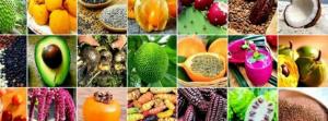 Exportaciones peruanas de productos bajo denominación “Superfoods” crecieron 244.76% en los últimos 10 años