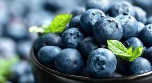 Exportaciones peruanas de productos orgánicos sumaron US$ 86<span class='highlight'>9</span> millones en 2024, mostrando un aumento de 32.2%