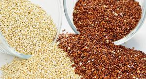 Exportaciones peruanas de quinua en grano crecen en volumen 4.76% entre enero y 22 de noviembre
