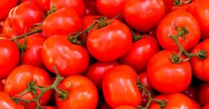 Exportaciones peruanas de tomate caen en volumen -74.3% en febrero de 2024