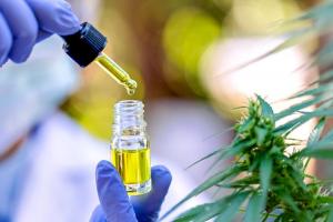 Facilitan uso medicinal y terapéutico del cannabis y sus derivados