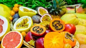 FAO prevé fuerte crecimiento en comercio de frutos tropicales exportados por América Latina