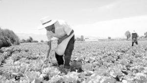 Fernando Eguren: La presidenta se olvidó de los dos millones de productores de alimentos y de 16 millones de personas con inseguridad alimentaria