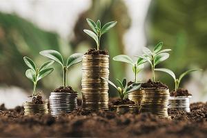 Finanzas verdes para generar impactos ambientales positivos