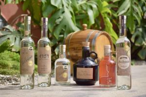 Finca 314 lanzará línea de vinos patrimoniales este año