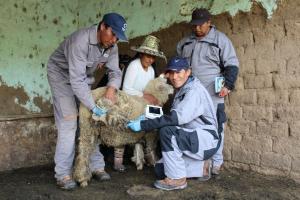 Firman convenio para potenciar el agro en zonas altoandinas de Cusco