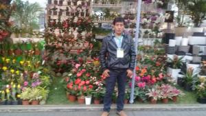 Floricultores necesitan capacitación en manejo de enfermedades