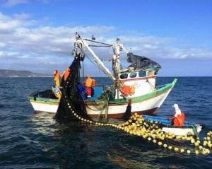 Fondepes otorga créditos con 0 % de interés a pescadores afectados por oleajes