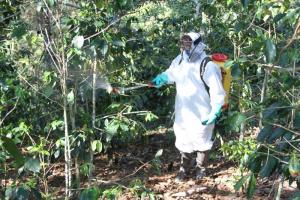 Fortalecen acciones de prevención y control de plagas en cultivos
