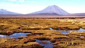 Fortalecen seguridad hídrica con recuperación de ecosistemas altoandinos