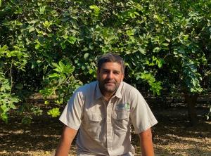 Frutícola Olmos proyecta triplicar su volumen de exportación de limones Tahití orgánicos en los próximos 3 años