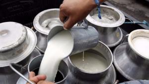 Ganaderos lecheros señalan que cada día pierden medio millón de soles y peligra seguridad alimentaria del país