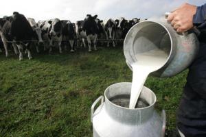 Ganaderos solicitan al gobierno que se fije el precio de la leche