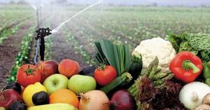 Gasto en productos frescos por consumidores mundiales hasta el 2030 se acerca a los 5 billones de euros