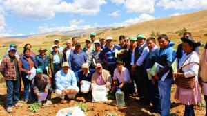 Generarán nuevas variedades de alcachofas resistentes al cambio climático