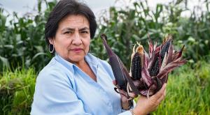 Gobierno de Chile premiará a investigadora peruana por innovación en maíz morado