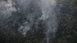 Gobierno declara en estado de emergencia a Amazonas, San Martín y Ucayali por incendios forestales