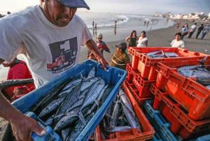 Gobierno oficializa pensión mínima de S/ 360 para pescadores