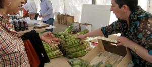 Gobierno plantea crear Fondo Crecer con capital inicial de S/ 1.000 millones para las pymes