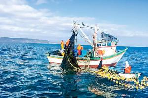 Gobierno promulga ley que reconoce la pesca ancestral y la tradicional artesanal