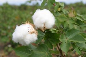 <span class='highlight'></span>G<span class='highlight'></span>O<span class='highlight'></span>B<span class='highlight'></span>I<span class='highlight'></span>E<span class='highlight'></span>R<span class='highlight'></span>N<span class='highlight'></span>O<span class='highlight'></span> <span class='highlight'></span>R<span class='highlight'></span>E<span class='highlight'></span>G<span class='highlight'></span>I<span class='highlight'></span>O<span class='highlight'></span>N<span class='highlight'></span>A<span class='highlight'></span>L<span class='highlight'></span> <span class='highlight'></span>D<span class='highlight'></span>E<span class='highlight'></span> <span class='highlight'></span>P<span class='highlight'></span>I<span class='highlight'></span>U<span class='highlight'></span>R<span class='highlight'></span>A<span class='highlight'></span> <span class='highlight'></span>Y<span class='highlight'></span> <span class='highlight'></span>D<span class='highlight'></span>R<span class='highlight'></span>A<span class='highlight'></span> <span class='highlight'></span>P<span class='highlight'></span>I<span class='highlight'></span>U<span class='highlight'></span>R<span class='highlight'></span>A<span class='highlight'></span> <span class='highlight'></span>R<span class='highlight'></span>E<span class='highlight'></span>S<span class='highlight'></span>P<span class='highlight'></span>A<span class='highlight'></span>L<span class='highlight'></span>D<span class='highlight'></span>A<span class='highlight'></span>N<span class='highlight'></span> <span class='highlight'></span>A<span class='highlight'></span> <span class='highlight'></span>A<span class='highlight'></span>L<span class='highlight'></span>G<span class='highlight'></span>O<span class='highlight'></span>D<span class='highlight'></span>O<span class='highlight'></span>N<span class='highlight'></span>E<span class='highlight'></span>R<span class='highlight'></span>O<span class='highlight'></span>S<span class='highlight'></span>