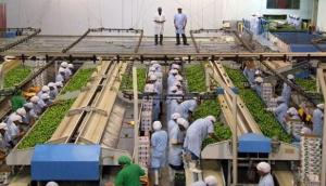 Gobierno retrocede en ampliación de Ley de Promoción del Sector Agrario