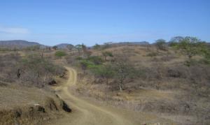 GR LAMBAYEQUE IMPULSA POLÍTICAS PARA CONSERVACIÓN DE BOSQUES SECOS