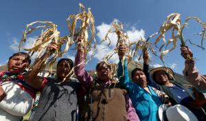 Gremios agrarios piden que se apruebe hoy ley de empoderamiento de mujeres rurales