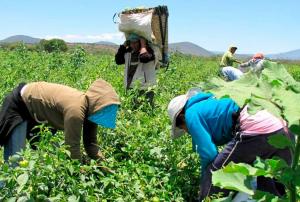 Gremios de trabajadores anuncian que no participarán en convocatoria para reglamentar nueva ley agraria