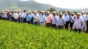 GREMIOS NO ESTÁN CONFORMES CON MODIFICACIÓN DE FRANJA DE PRECIOS