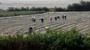 Grupo Romero y japonesa Mitsui acuerdan crear empresa de fertilizantes