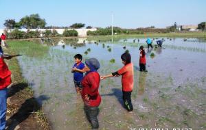 HALLAN A NIÑOS LABORANDO EN CAMPOS DE CULTIVO DE MONSEFÚ Y OLMOS