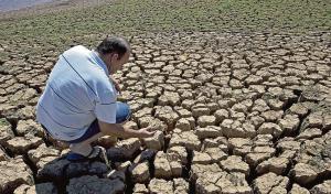 Hasta el 60% de la campaña agrícola se habría perdido por sequías