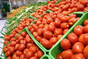 Hasta octubre, exportación de tomates frescos llegó a US$ 588 mil