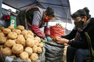 Hasta un 20% sube precio para 14 de 16 principales alimentos en Lima