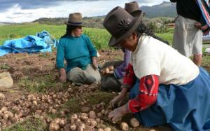 Hay 400 mil productores ecológicos en América Latina